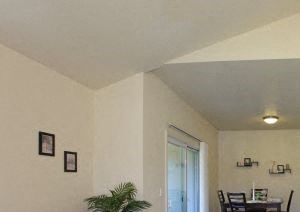 Additional View of Living Room and Dining Room